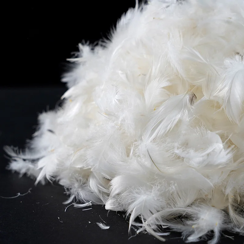 OEKO White 100% Duck Feather Filling Natural Filling for Comforters Pillows Jackets Couch Cushions