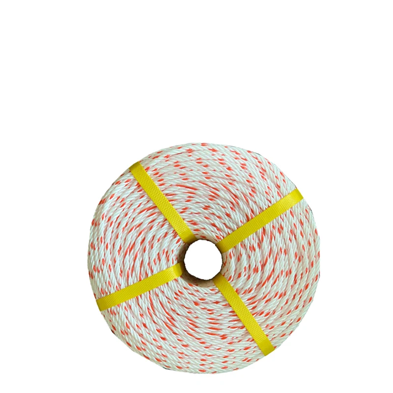 High Strength Combination Danline Manufacturers Pp Rope