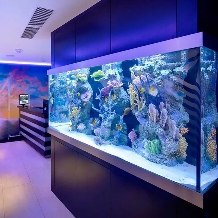 Sale Aquarium 100 Gallon 378L Fish Tank Acrylic Material Aquarium Central