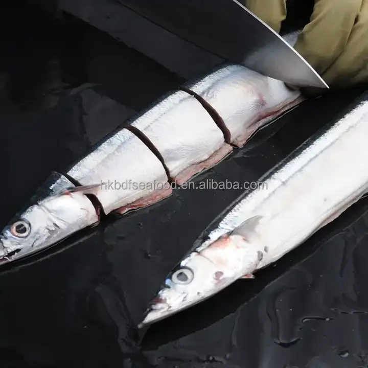 Frozen Factory Seafood Saury Fish for Export