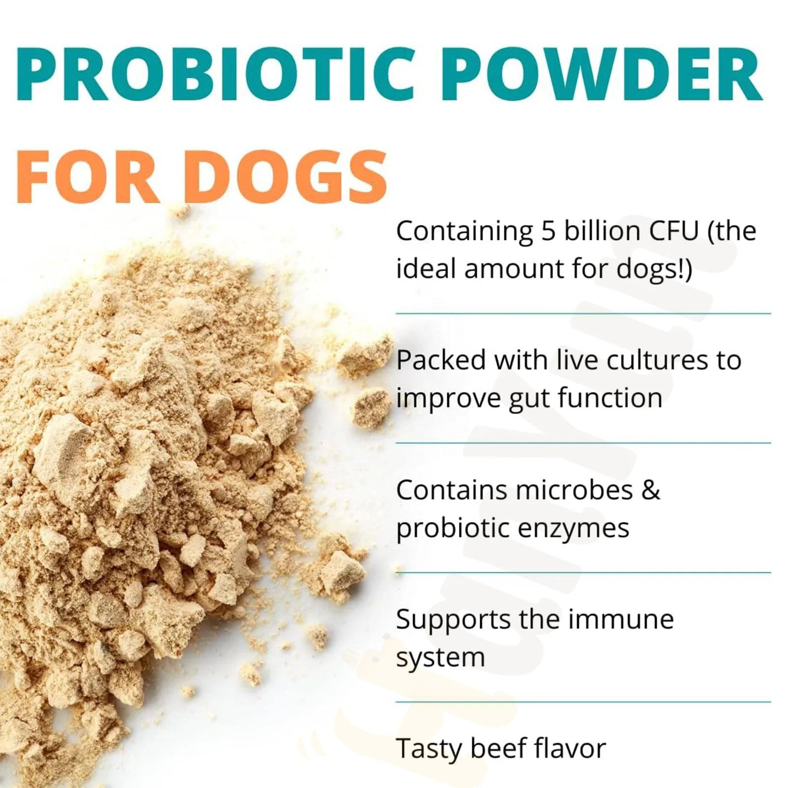 Hanyun Wholesale Private Label Probiotic Powder Digestive Health Supplement Pet Supplements Probiotics for dogs Beef flavor