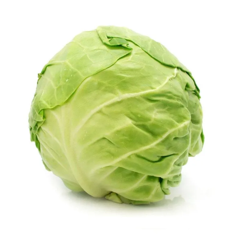 High grade non-GMO 100% natural wholesale fresh fruits and vegetables from Uzbekistan white cabbage for food