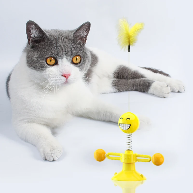 Funny Cat Teaser Stick Pet Interactive Set Toy with Feather Wire Chaser