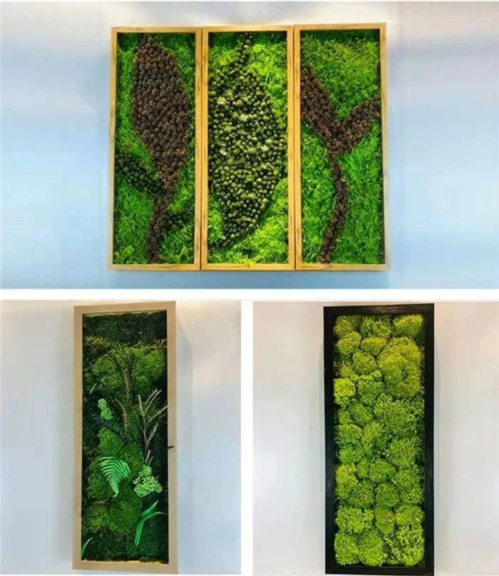 wholesale decorative green moss balls high quality natural preserved reindeer moss wall hanging frame for wall decor