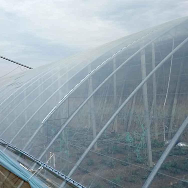 Best Selling Pe Film For Greenhouse For Film Greenhouse