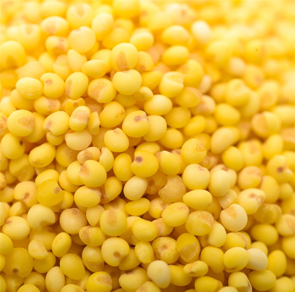  Сельскохозяйственная продукция экспорт Горячая продажа вакуумная упаковка 1 кг/мешок Желтый Просо для