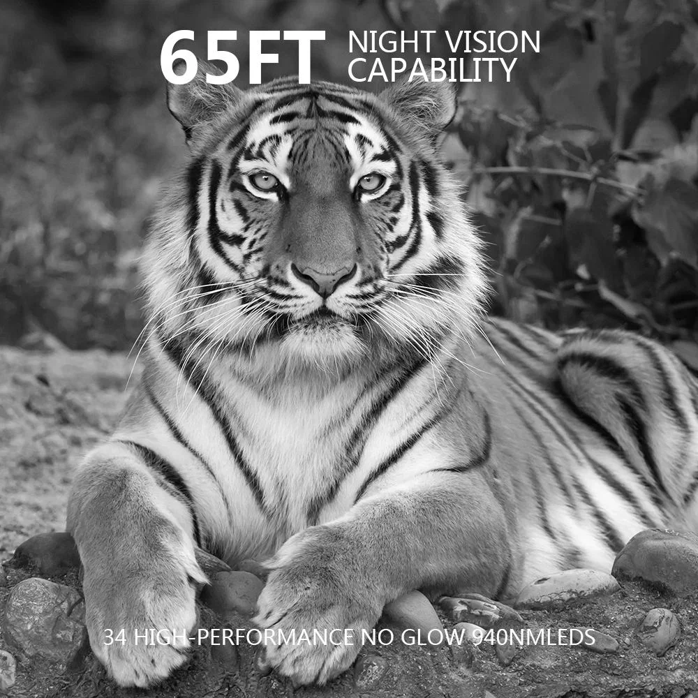 PR700 2.7K Outdoor Mini Hunting Camera With Screen Game Deer Hunting Camera Wildcamera Waterproof Ip66