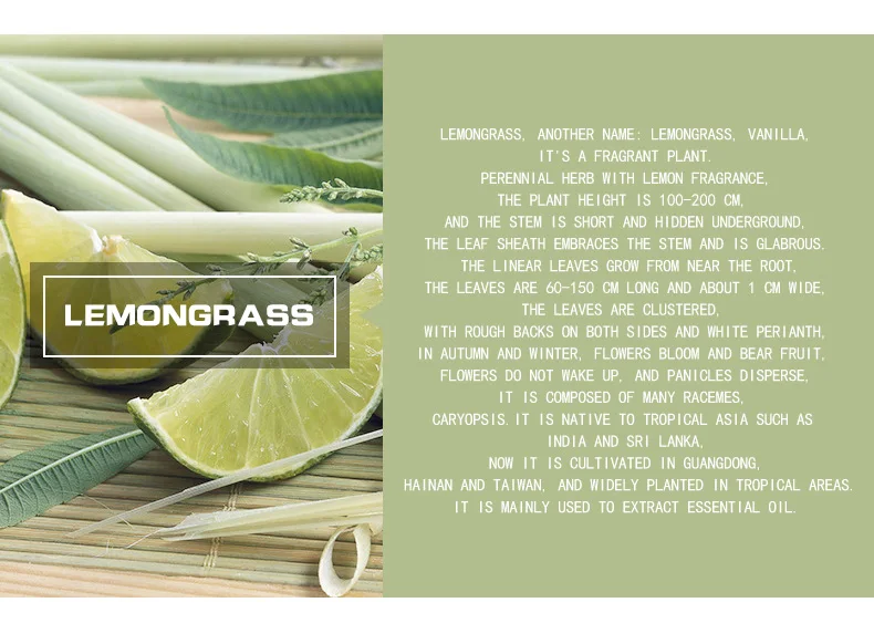 Pure natural aromatherapy Lemongrass essence and Lavender body Massage oil