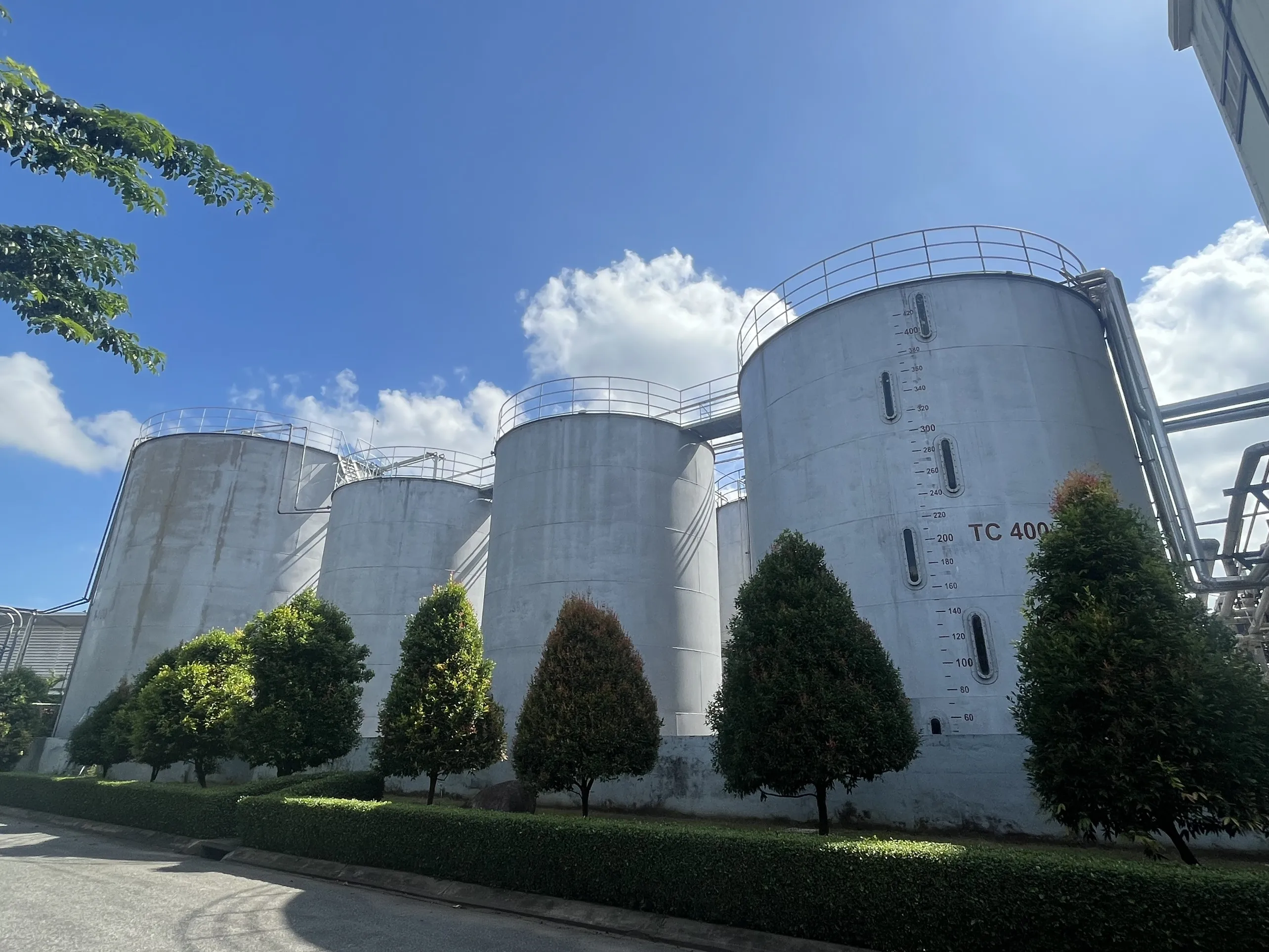 [BEST SELLER] HIGH STANDARD CRUDE FISH OIL FROM VIETNAM WITH SUPER CHEAP PRICE FOR INDUSTRY