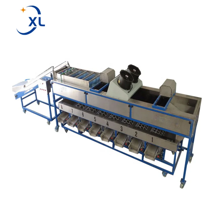 Fruits Washing Grading Machine CE