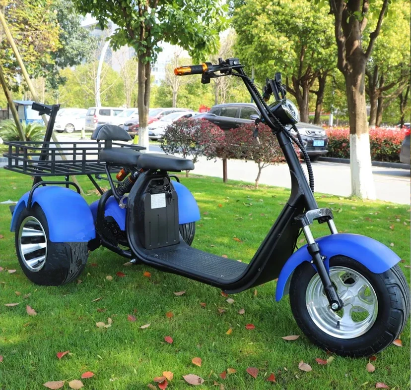 OT2808 1000 Вт 2000 60v1 2 Ач/20 Ач литий-ионный аккумулятор для взрослых трехколесный мотоцикл электрический скутер с держателем сумки гольфа/толстые шины гольфа