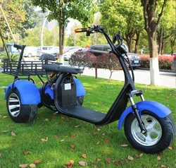 OT2808 1000w 2000w 60v12AH/20AH li-on battery adult three wheel motorcycle electric scooter with golf bag holder / fat tire golf