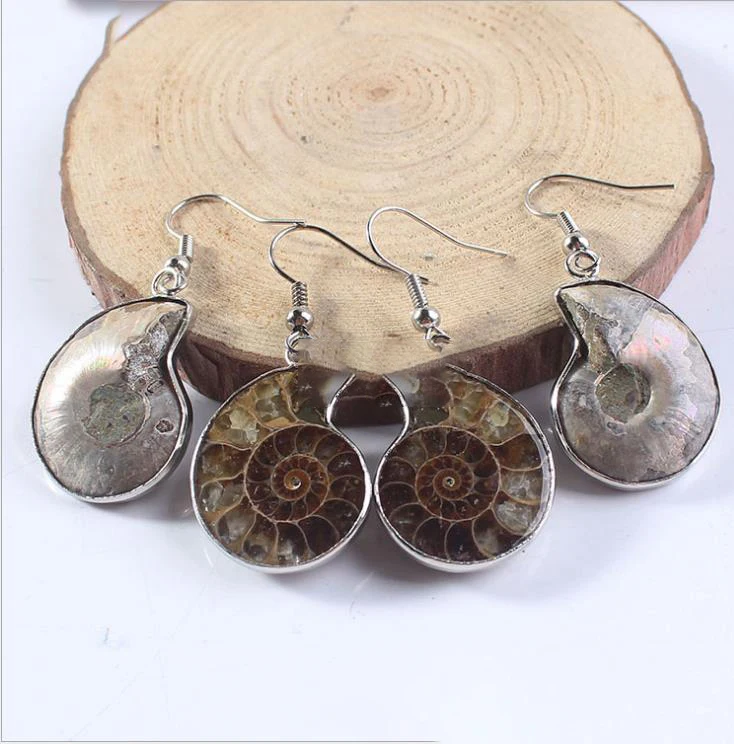 Natural half ammonite fossil rock sea snail stone fossil for sale