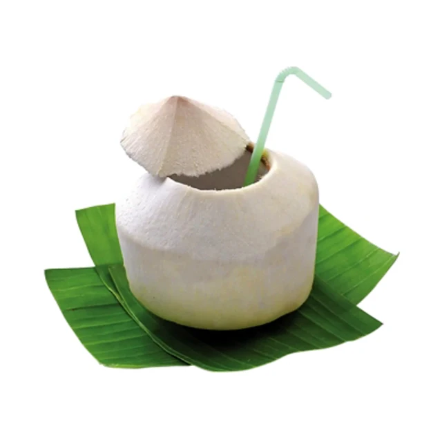 Natural Thai Fruit Drink Wholesales Coconut Fresh Premium Juice Drink From Thailand Best Seller Best Seller From Thailand