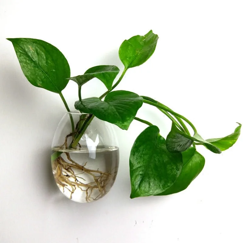 wholesale popular hanging wall vase glass Glass tube Hanging Plant Terrarium Container
