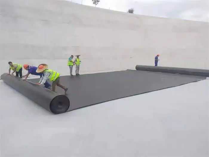 HDPE LDPE LLDPE PVC EPDM 1mm Plastic Dam Pond Liner 1.5mm 2mm Landfill Biodigester Liners Geomembrane