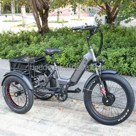 Powerful new model e cargo bike China pedal assistance operation big loaded electric bike for delivery