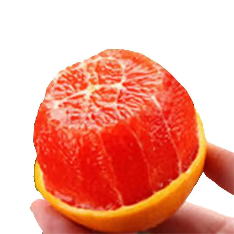 
Farm Delivery Fresh Fruit Orange Concentrate 