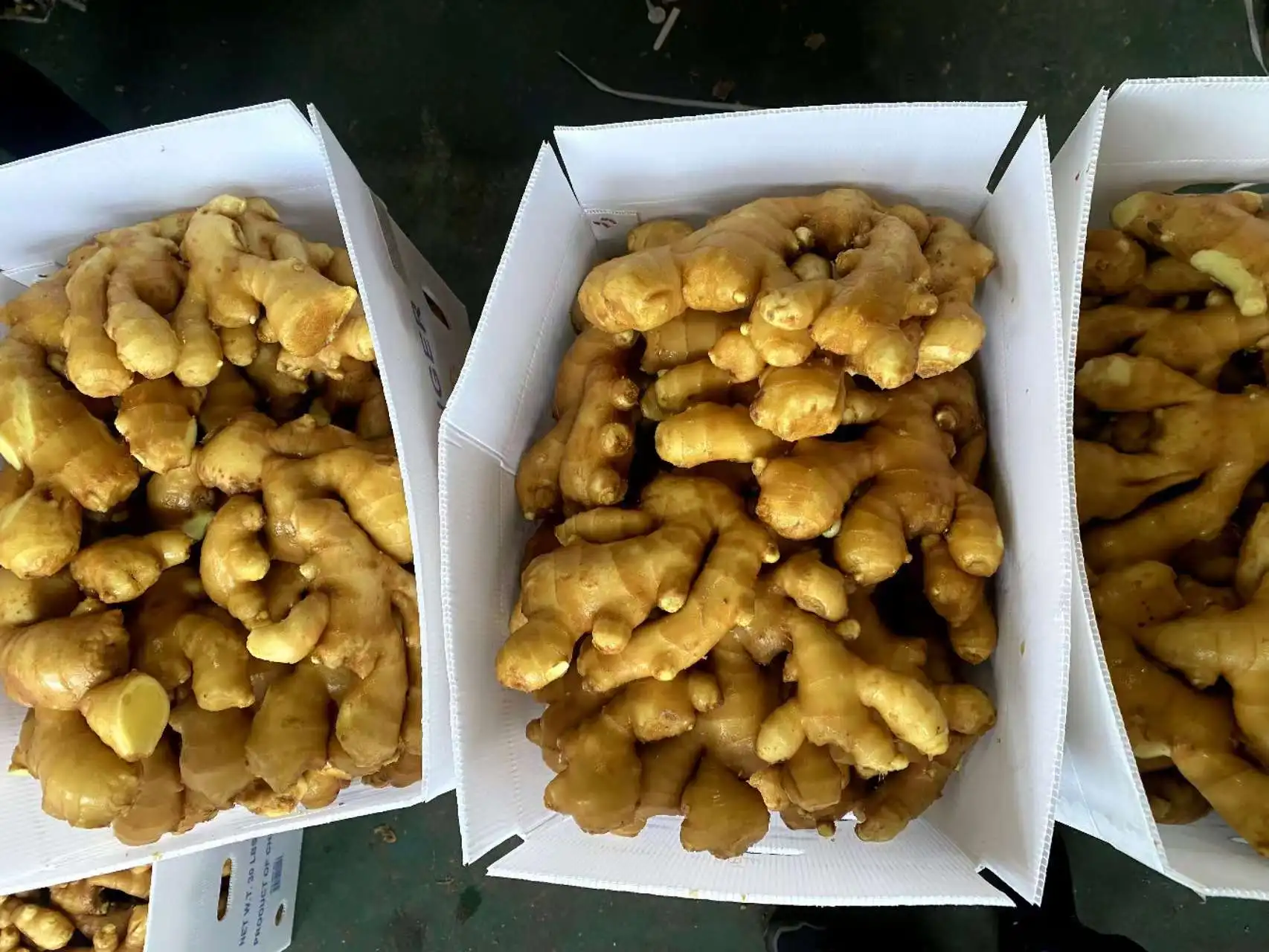 Organic Ginger USDA certification Exporter Factory Ship 150g 200g 250g Fresh Ginger Air Dried Ginger