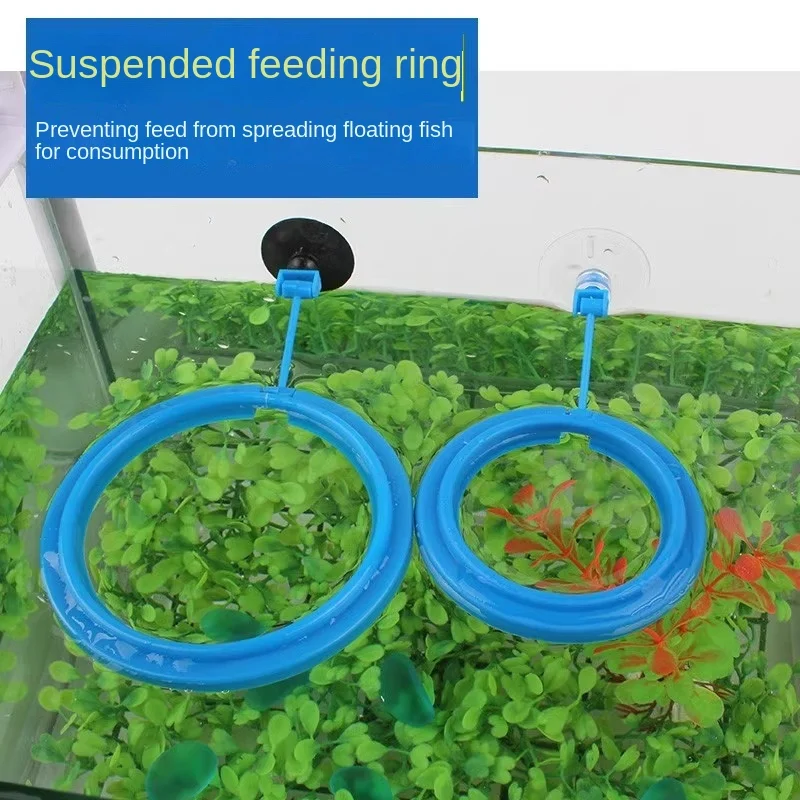 Factory Sale Small Tropical Fish Feeding Ring Aquarium Fish Feeding EQ-102 High Quality Glass PVC PC Cylinder Box Packaging