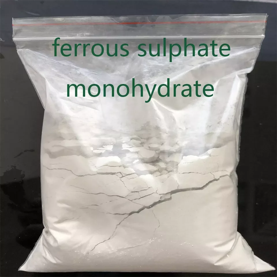 High purity 98%  ferrous  sulphate Monohydrate powder