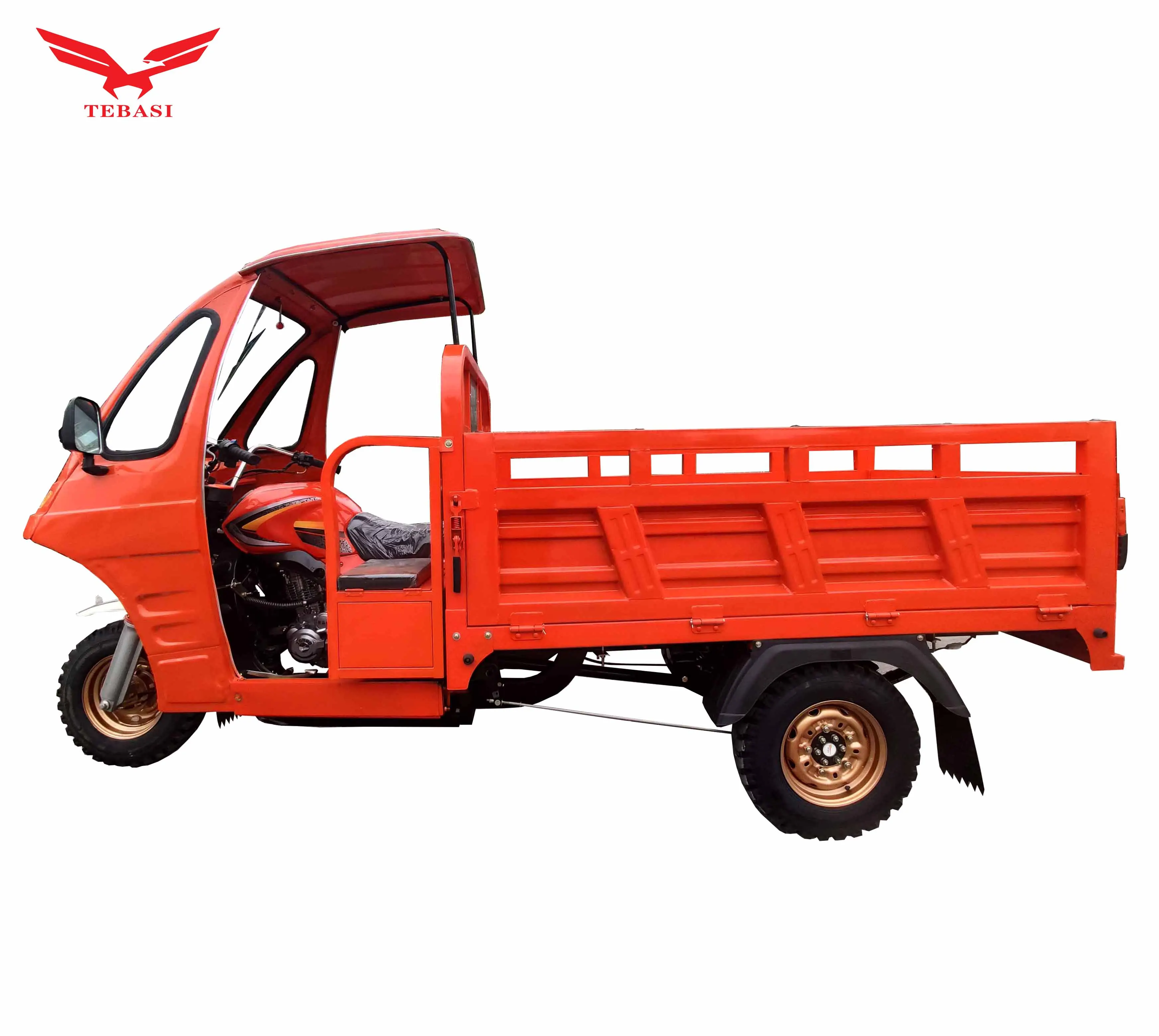 Chongqing TBS hot sell  200cc 250cc 300cc Water-cooled engine cargo tricycle Suitable for pulling goods