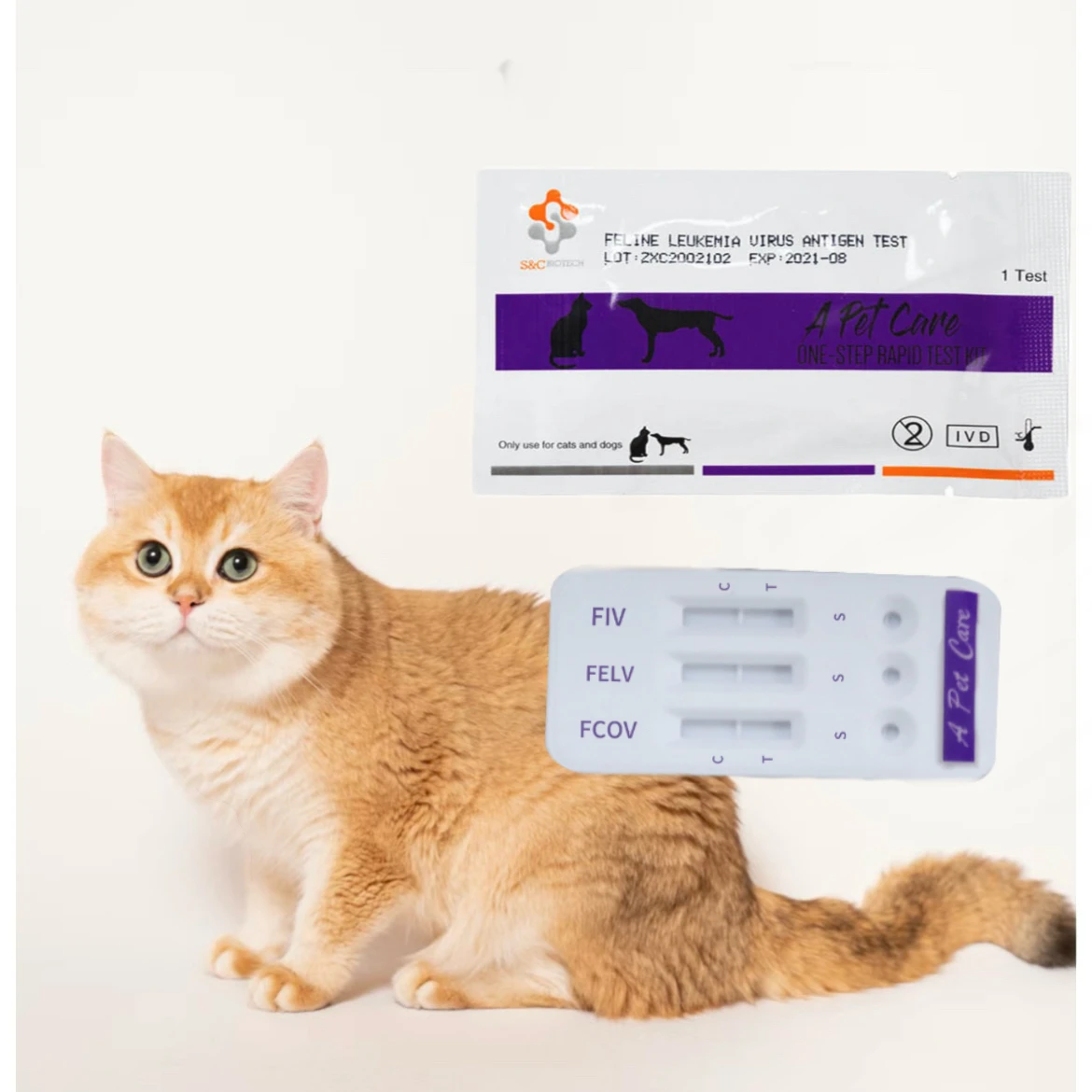 veterinary pet disease rapid cat test reagent feline animal ag kit vid for feline test kit FPV/FCOV/GIA