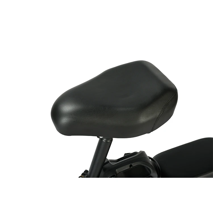 DIdi disc brake electric bike brushless motor ebike LED display city ebike