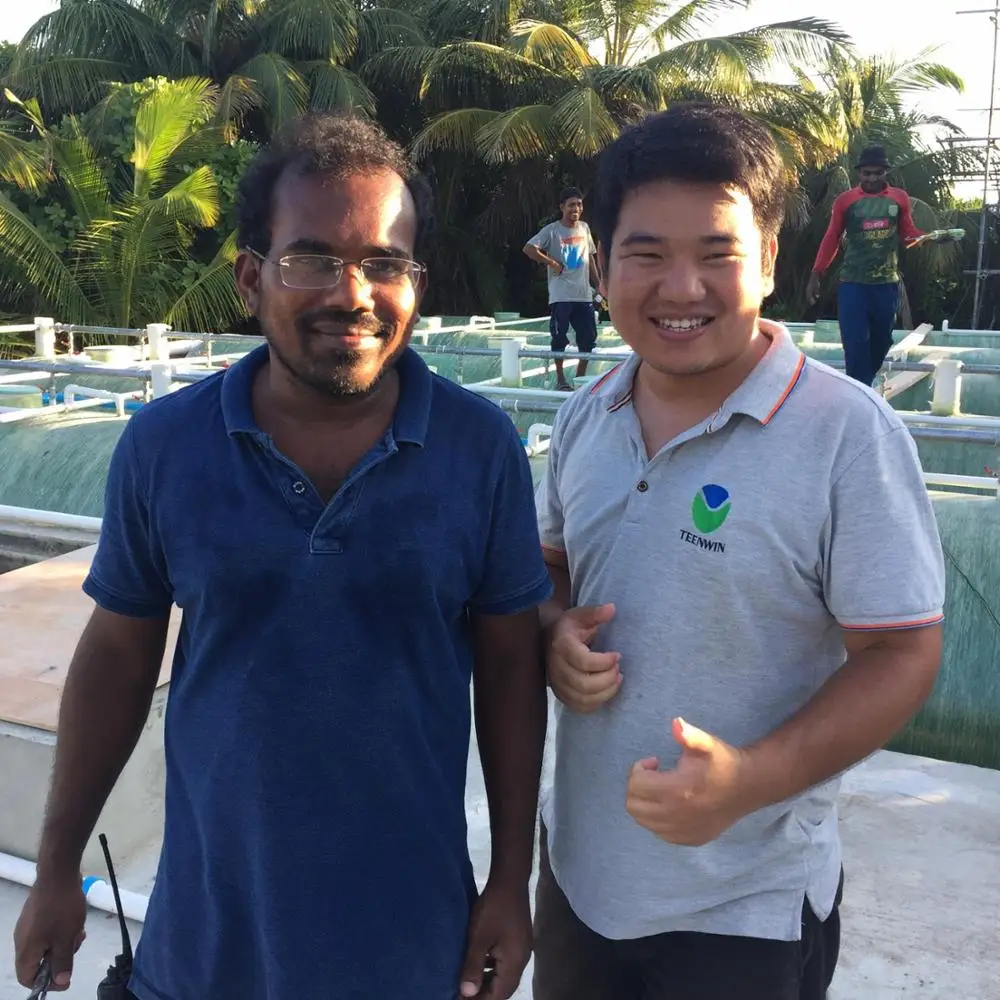 Domestic resort hotel food fruits industrial factory MBR MBBR biological packaged sewage treatment plant wastewater STP facility