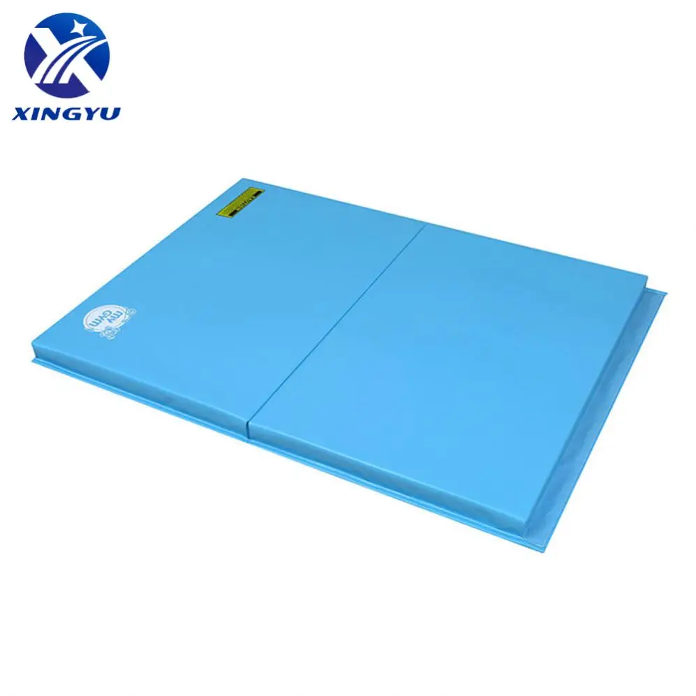 Wholesale Professional Rhythmic Gymnastic Slope Mat With Carry