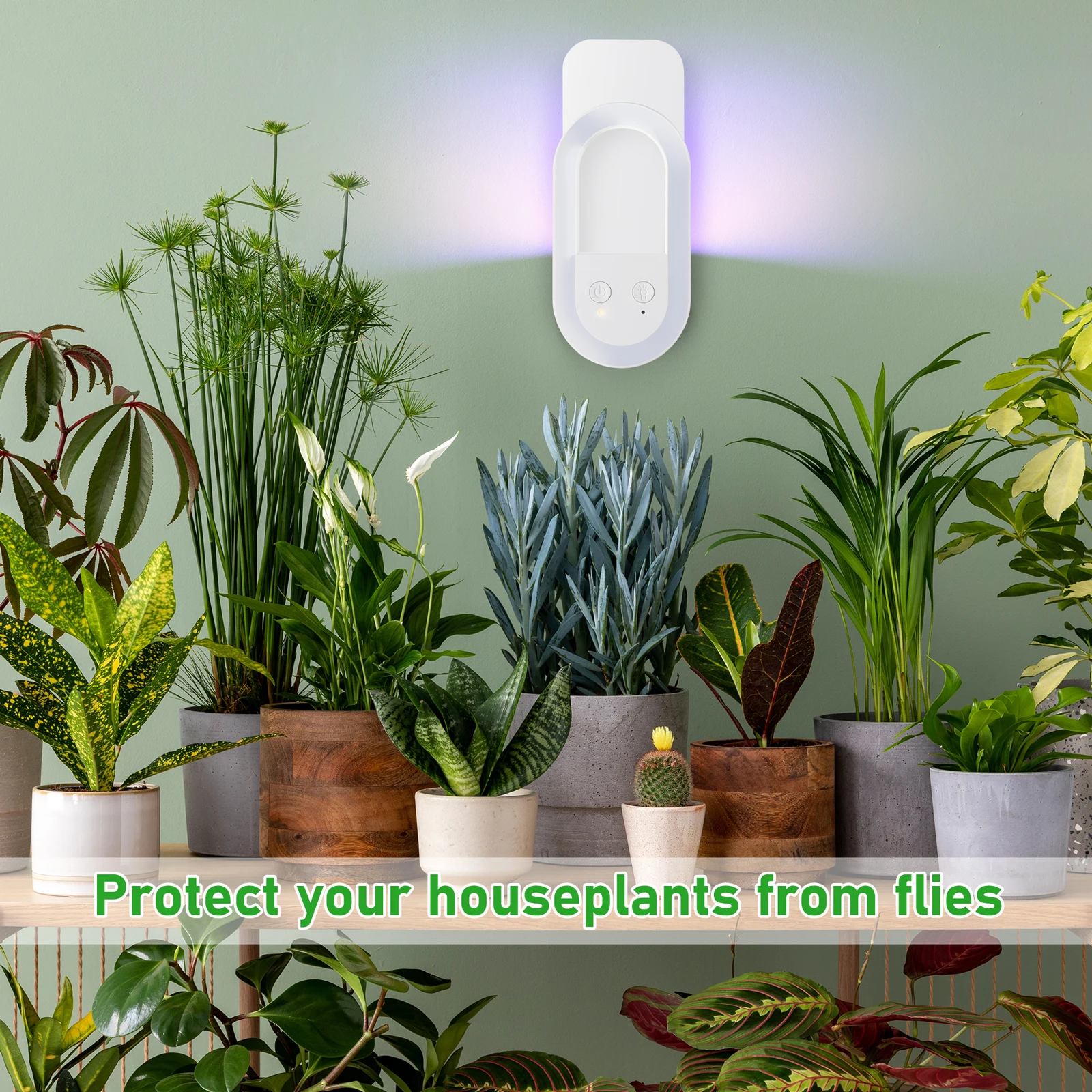 Sticky Board UV Light Fruit Flies Mosquitoes Gnat Catcher Fly Traps Plug In