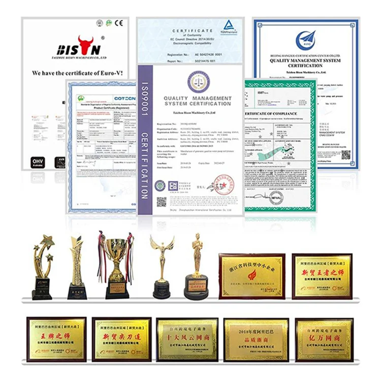 Bison Distributor 2.4Gpm 7 Hp 180 Bar 2900Psi Easy Srtart High Pressure Washer