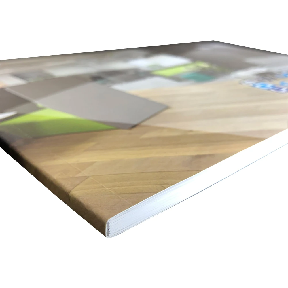 GIGO Chinese Manufacturer Printing Company Brochure Product Catalog Brochure at Low Price