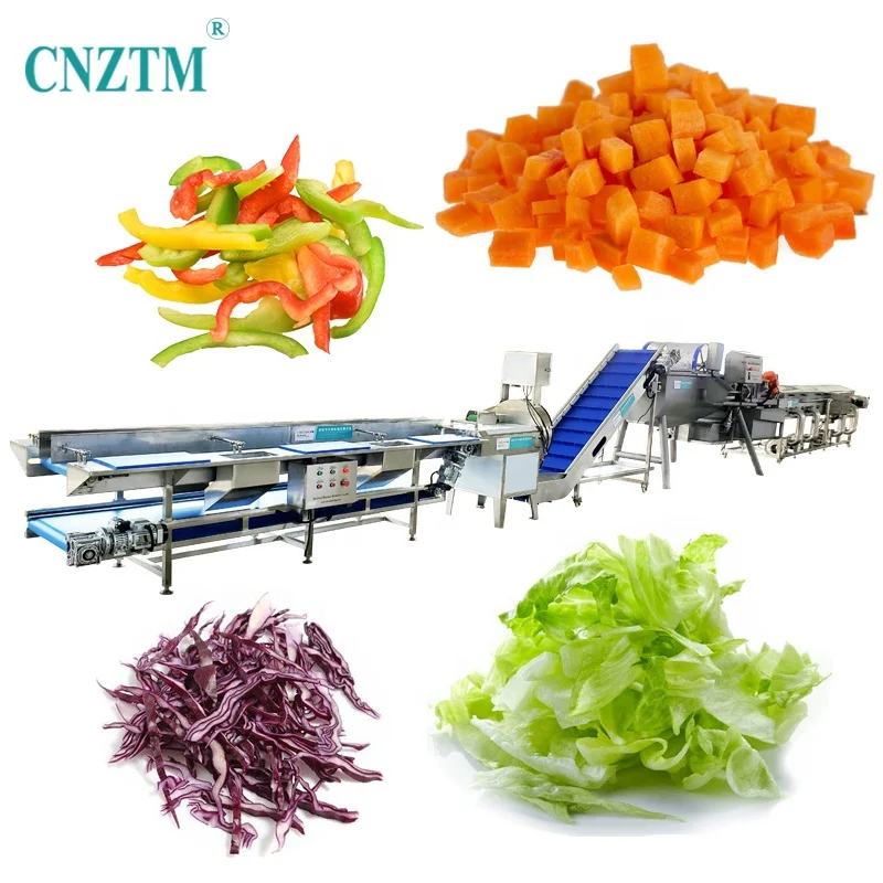 Industrial Automatic Vegetable Washing Cutting Drying Packing Processing line for Making frozen and fresh vegetables