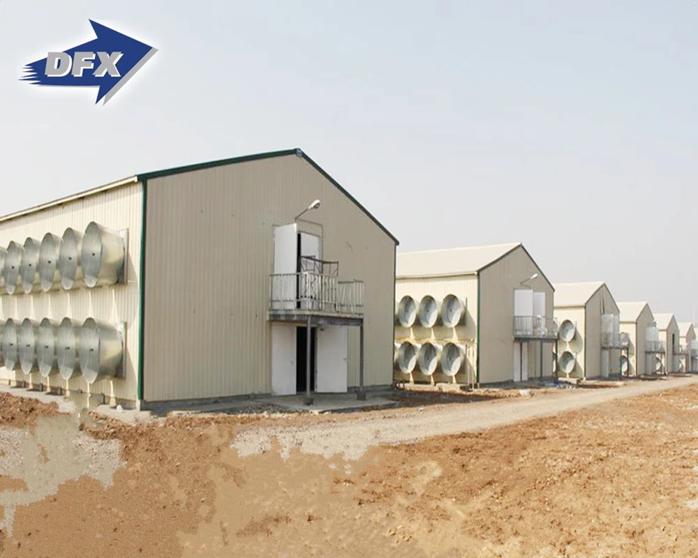 Large Span Prefab Multistory Steel Structure For Hospital School Factory Building Office Building Chicken Poultry house