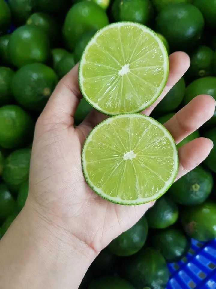 Лидер продаж из Вьетнама высокое качество оптовая продажа низкая цена минимальный заказ