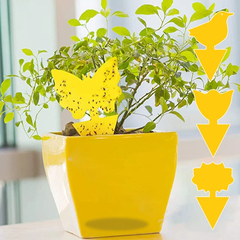 Sticky Traps  (19).jpg