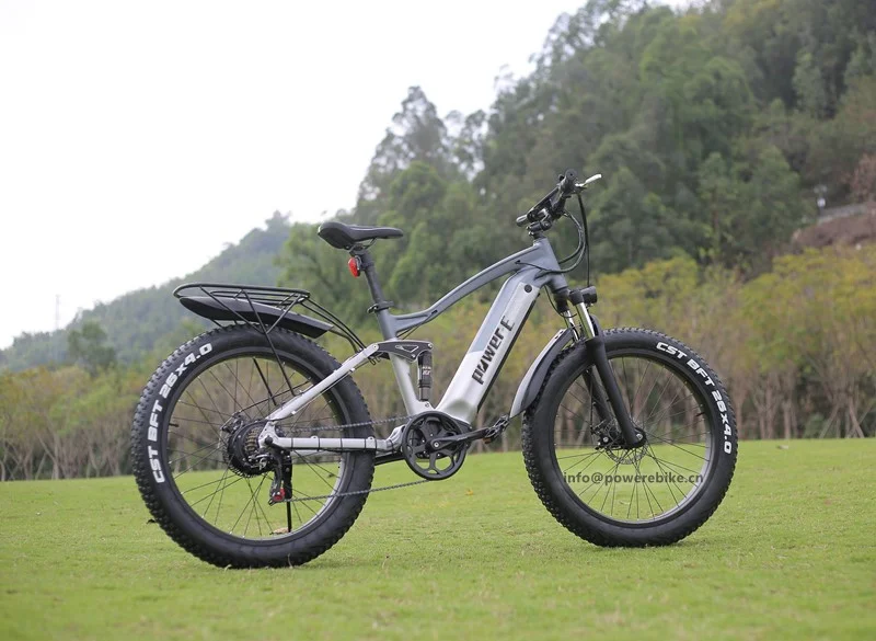 48V 15Ah Lithium Battery Electric Fat Bike 1000W Weldless Aluminum Frame Powerul E Bike