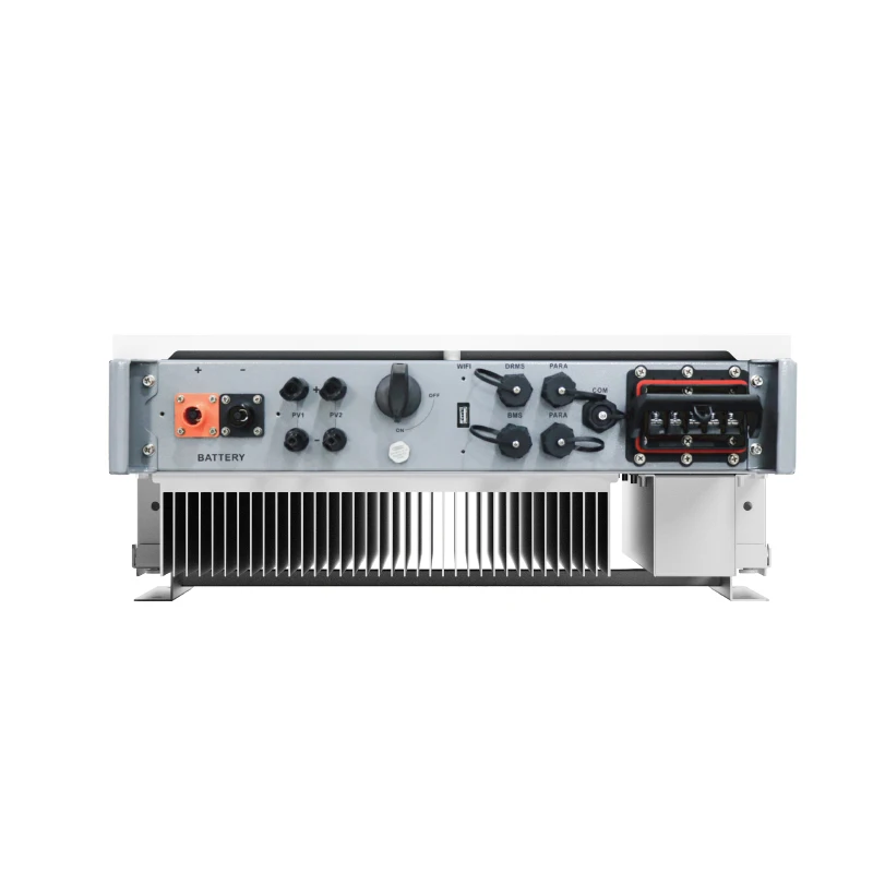 10 Years Warranty On/ Off Grid Hybrid Inverter Built-in 100A MPPT Charge Controller support Wifi for Mobile Monitoring Inverter