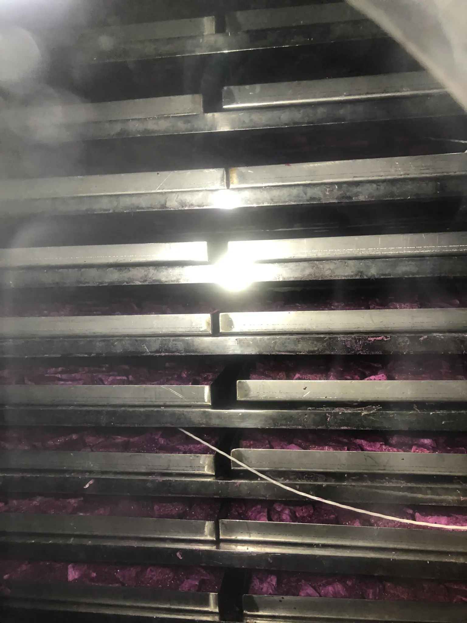 Dried dragon fruit - Good products - competitive prices in the export market in 2022