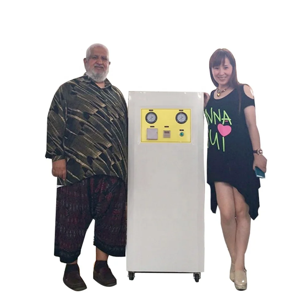 small type nitrogen gas generator Nitrogen N2 compressor for apple flakes packing