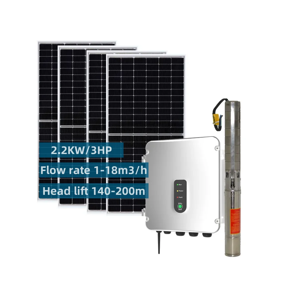 SUNFUTURE 1-18m3/h Flow Rate 140-200 Meter Depth 2.2KW Solar Borehole Water Pump System for Agriculture
