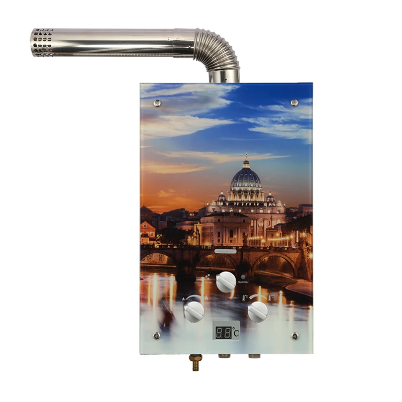 New Glass Professional Manufacturer Force Type Forced Exhaust Nasgas Gas Water Heater