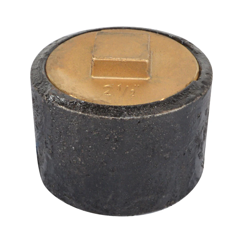 Black Drainage Cleanout Casted Iron Floor Drains Body Cleanouts Brass Screw Countersunk Raised Square Head Plug