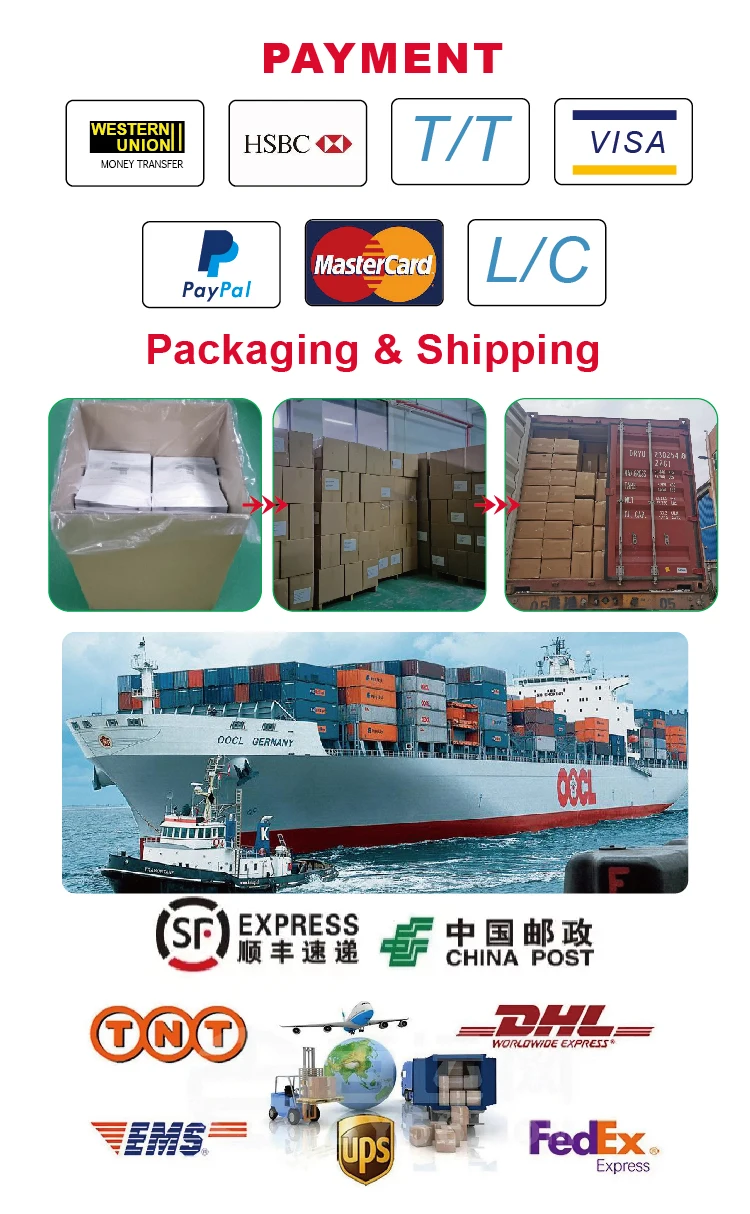 payment  & Shipping.jpg