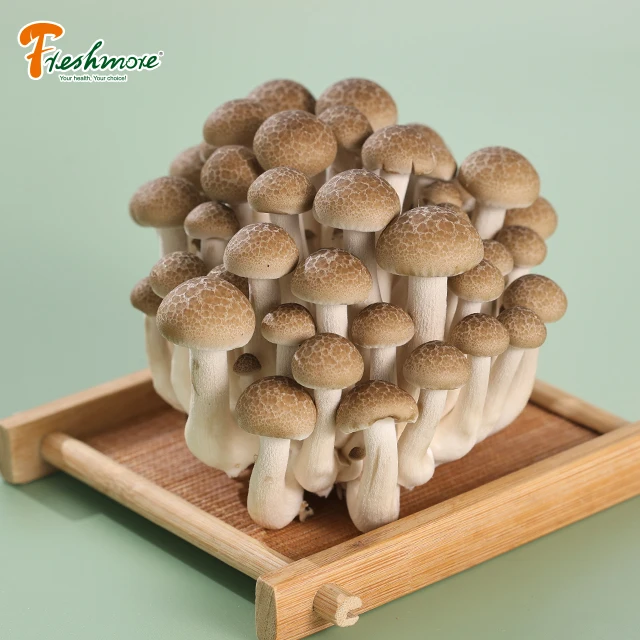 Купить свежие грибы онлайн готовка свежие грибы рядом со мной