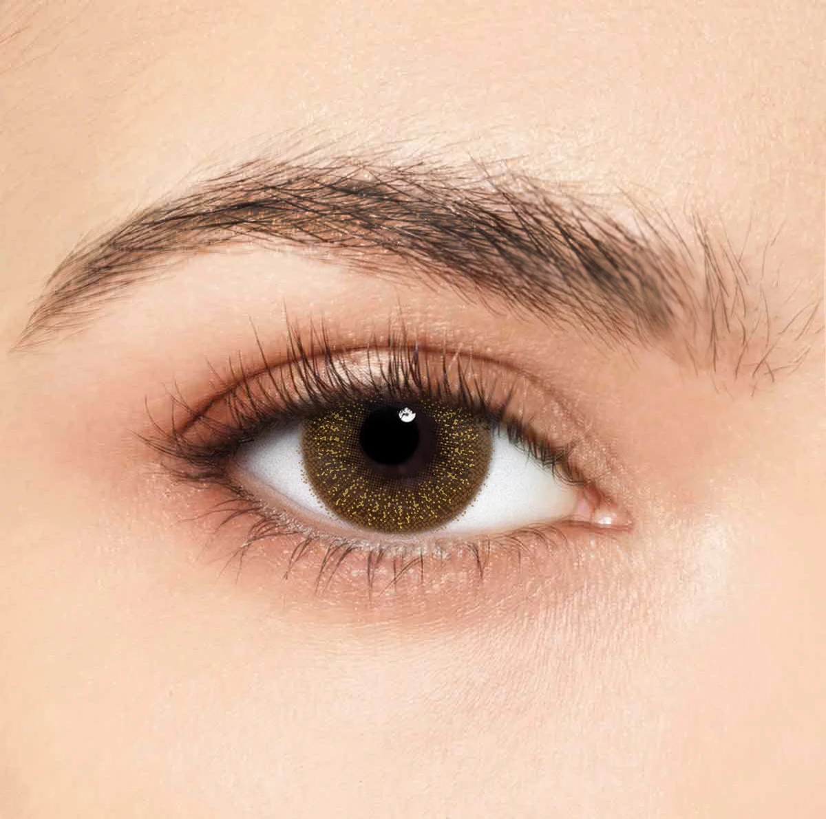 colored contact lenses  using cycle 6 months popular lenses for USA market