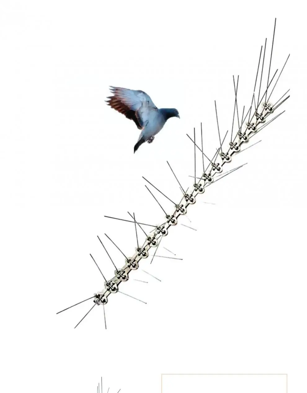Bird Catcher Anti Pigeons and Small Pests Bird Repellent Spikes Bird Thorns and Anti Climb Fence Spike