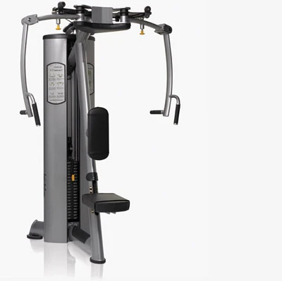 Hot selling Fly/Rear Delt Gym Exercise Equipment For Club