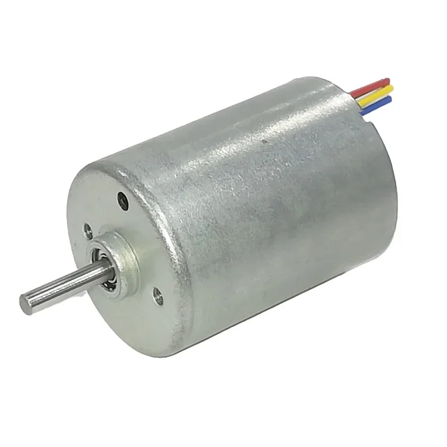 28mm diameter 12V 24V high torque  electronic dc micro brushless motor for pump DBL2838